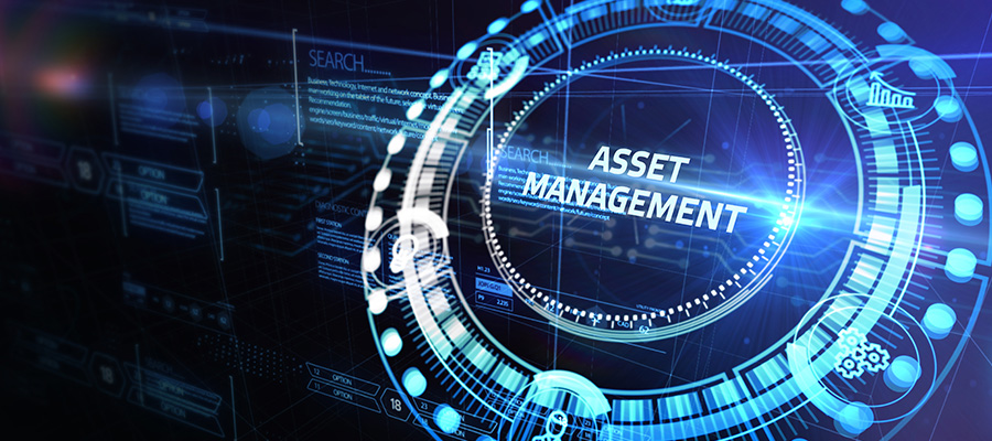 Gestione degli Asset